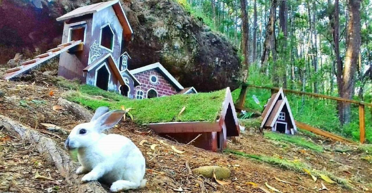Seribu Batu Songgo Langit Resort & Camp Bantul Dış mekan fotoğraf